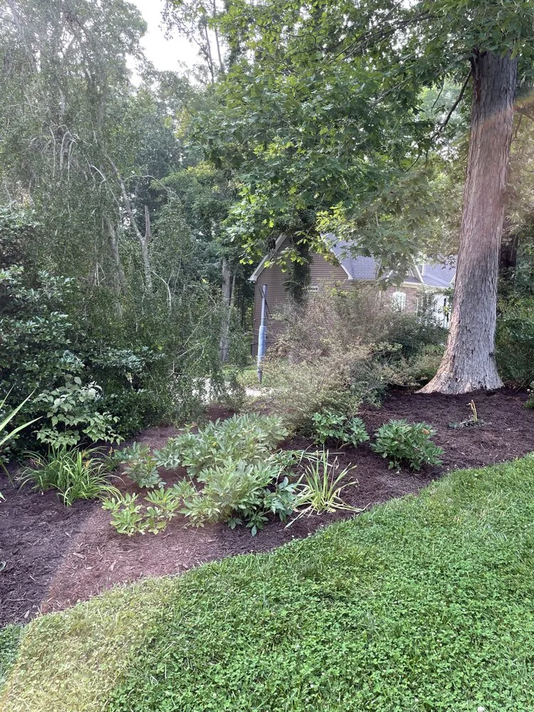 Local landscape installation experts serving Trinity, NC - All-Star Landscaping