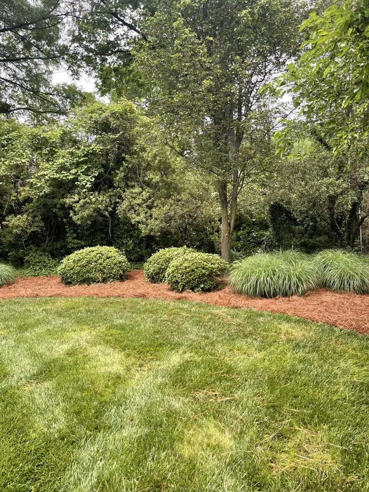 Reliable lawn care service for year-round maintenance across Trinity, NC - All-Star Landscaping