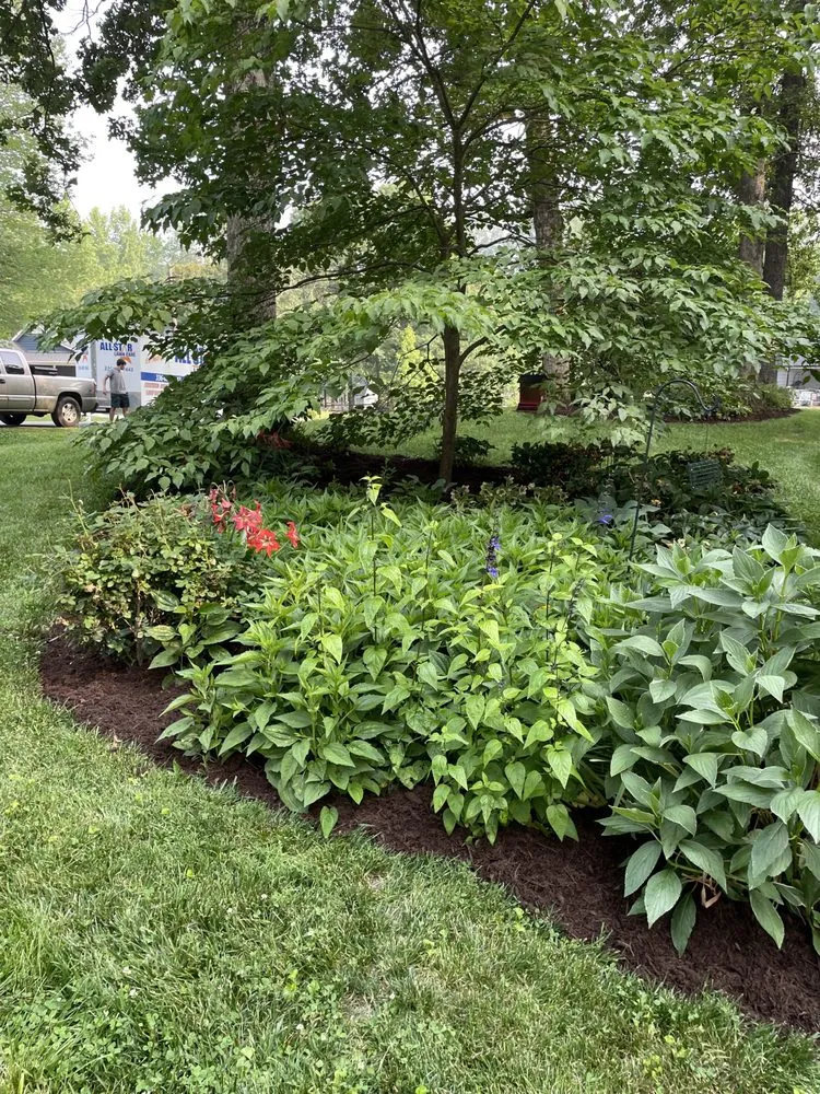 Professional lawn care service near you across Trinity, NC - All-Star Landscaping