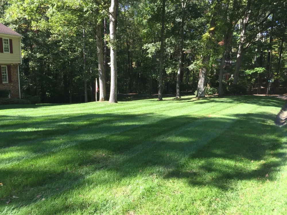 Custom lawn mowing service experts serving North Chesterfield, VA - All-Star Lawn Care & Landscape