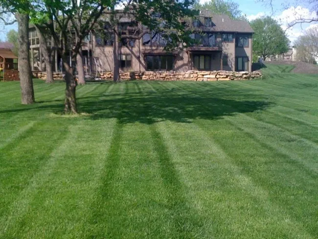 Professional lawn care service in Kansas City, MO - All Star Lawn Care Landscaping and Irrigation