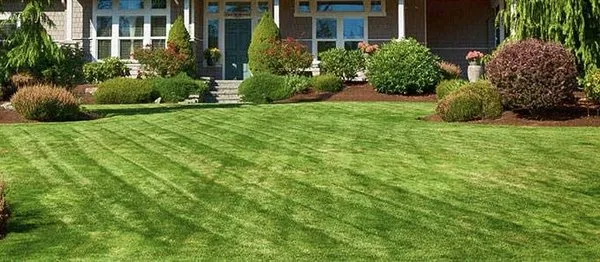 All Star Lawncare Logo