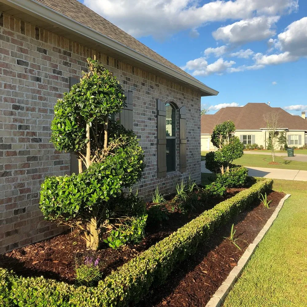 Custom residential landscaping for outdoor upgrades in Covington, LA by All-Star Lighting & Landscaping