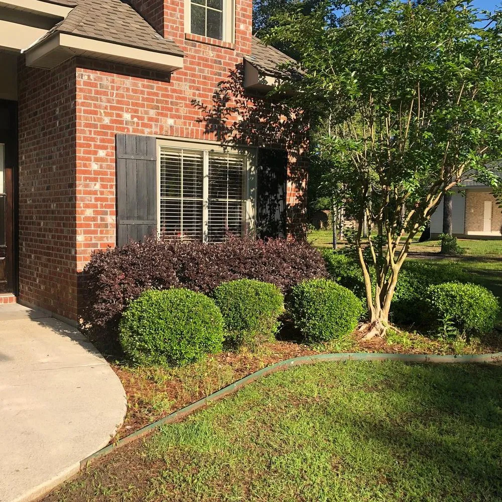 Reliable landscaping services in Covington, LA - All-Star Lighting & Landscaping