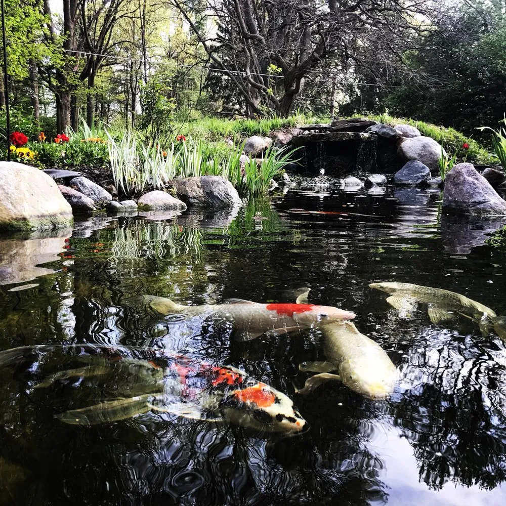 Expert landscaping services in Indianapolis, IN by All-Star Preservation