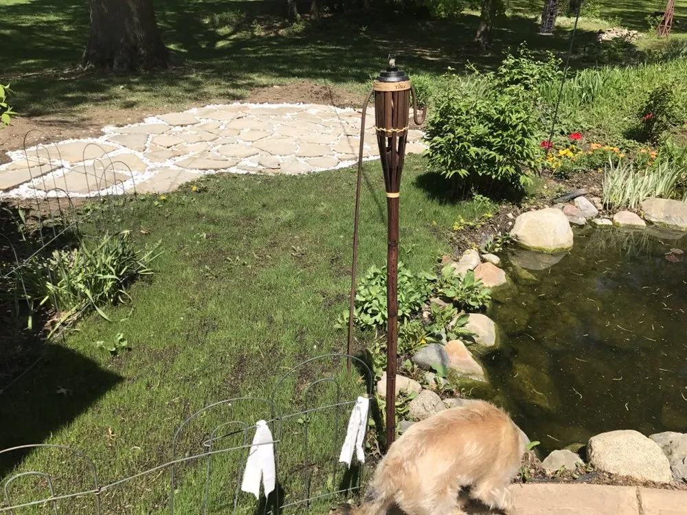 Local yard cleanup service for homes across Indianapolis, IN - All-Star Preservation