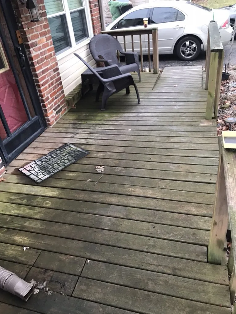 Professional yard cleanup service in Indianapolis, IN by All-Star Preservation