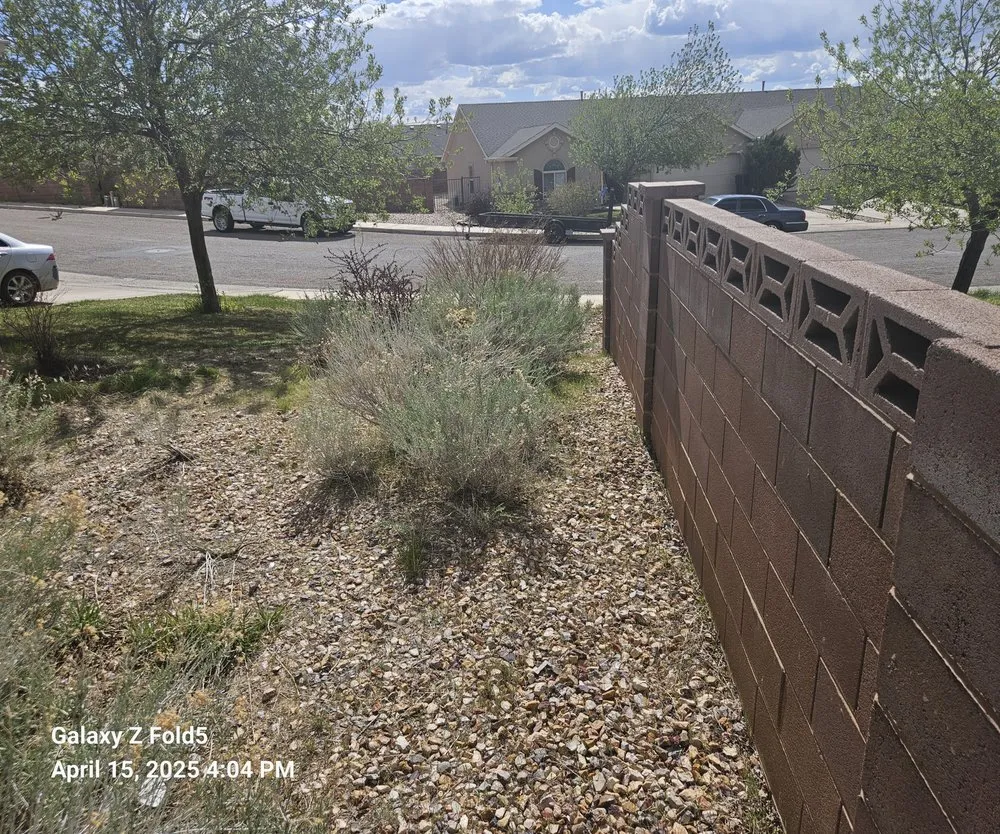 Trusted landscaping services experts serving Murray, UT - All-Star Tree Service & Landscaping