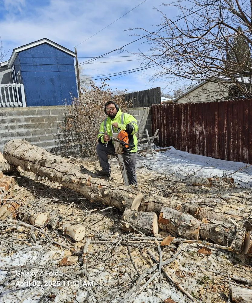 Reliable landscaping services for outdoor upgrades in Murray, UT by All-Star Tree Service & Landscaping