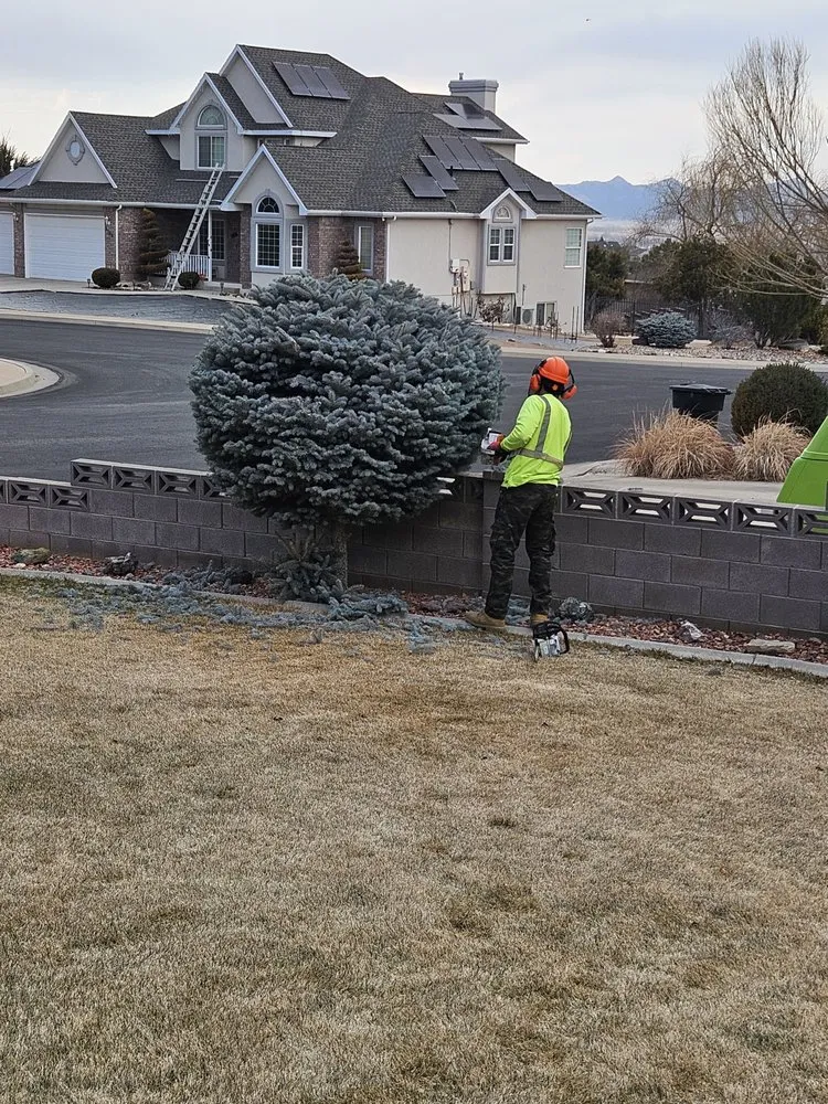 Reliable lawn care service in Murray, UT - All-Star Tree Service & Landscaping
