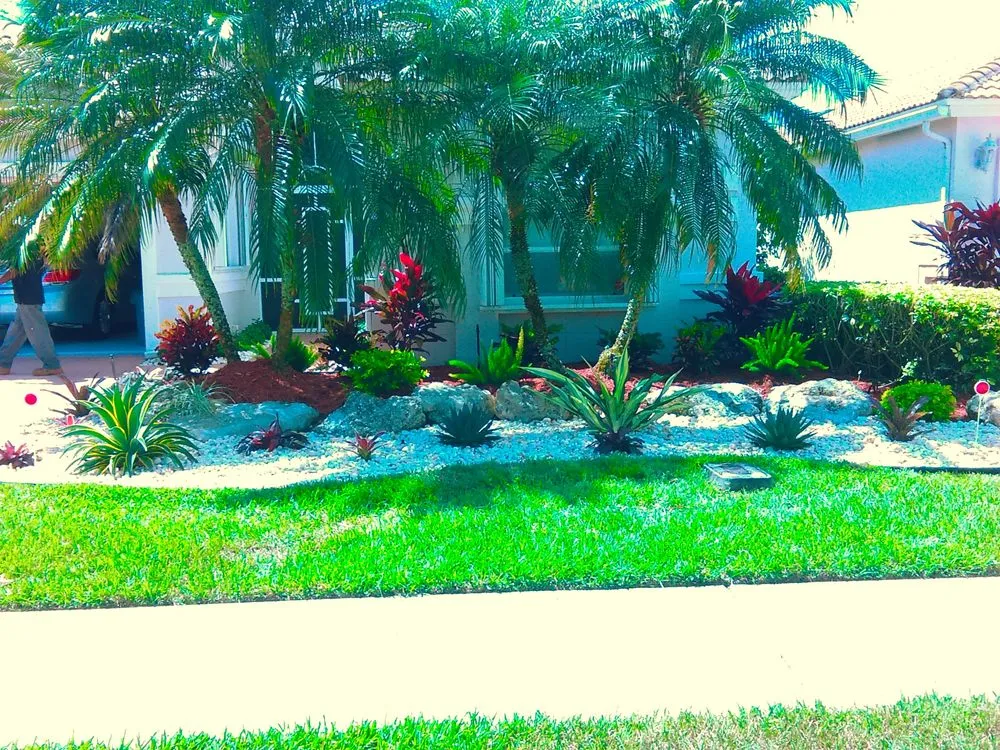 Trusted yard cleanup service with custom design across West Palm Beach, FL - All Star Tropical Tree Care and Landscaping