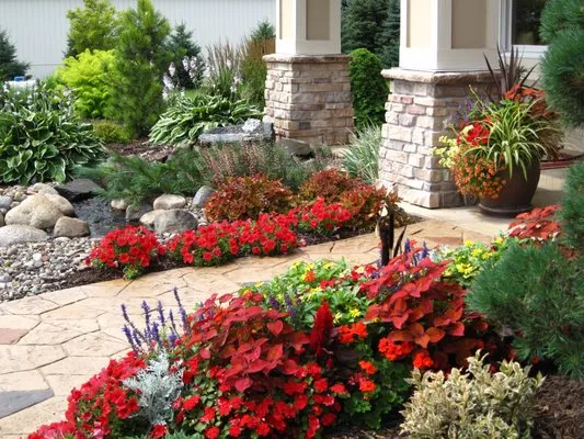 All Star Tropical Tree Care and Landscaping Logo