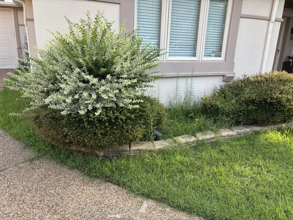 Reliable landscaping services for beautiful yards in McKinney, TX by All Stars Stone & Sod Supply