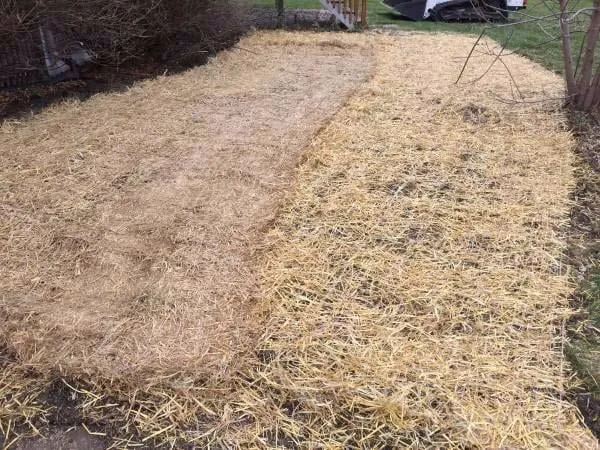 Custom lawn care service for outdoor upgrades across Zimmerman, MN - All State Companies