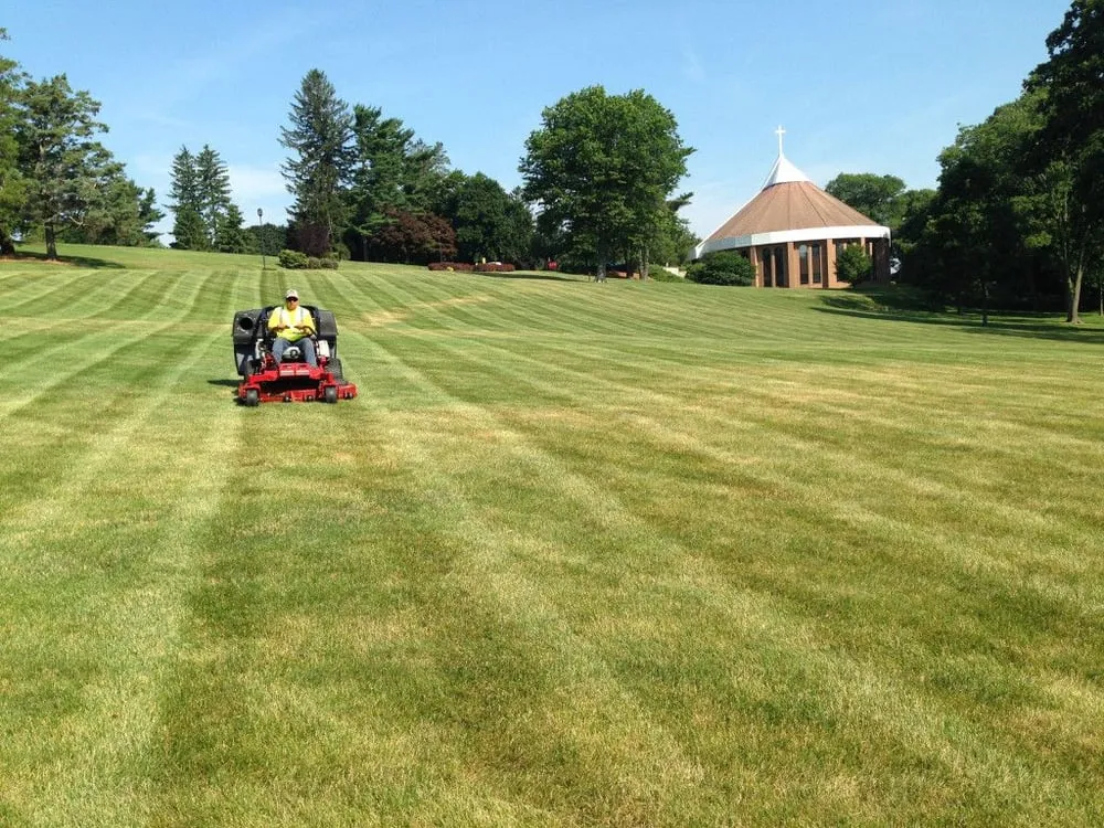 Custom yard cleanup service experts serving New Britain, CT - All State Landscape Service