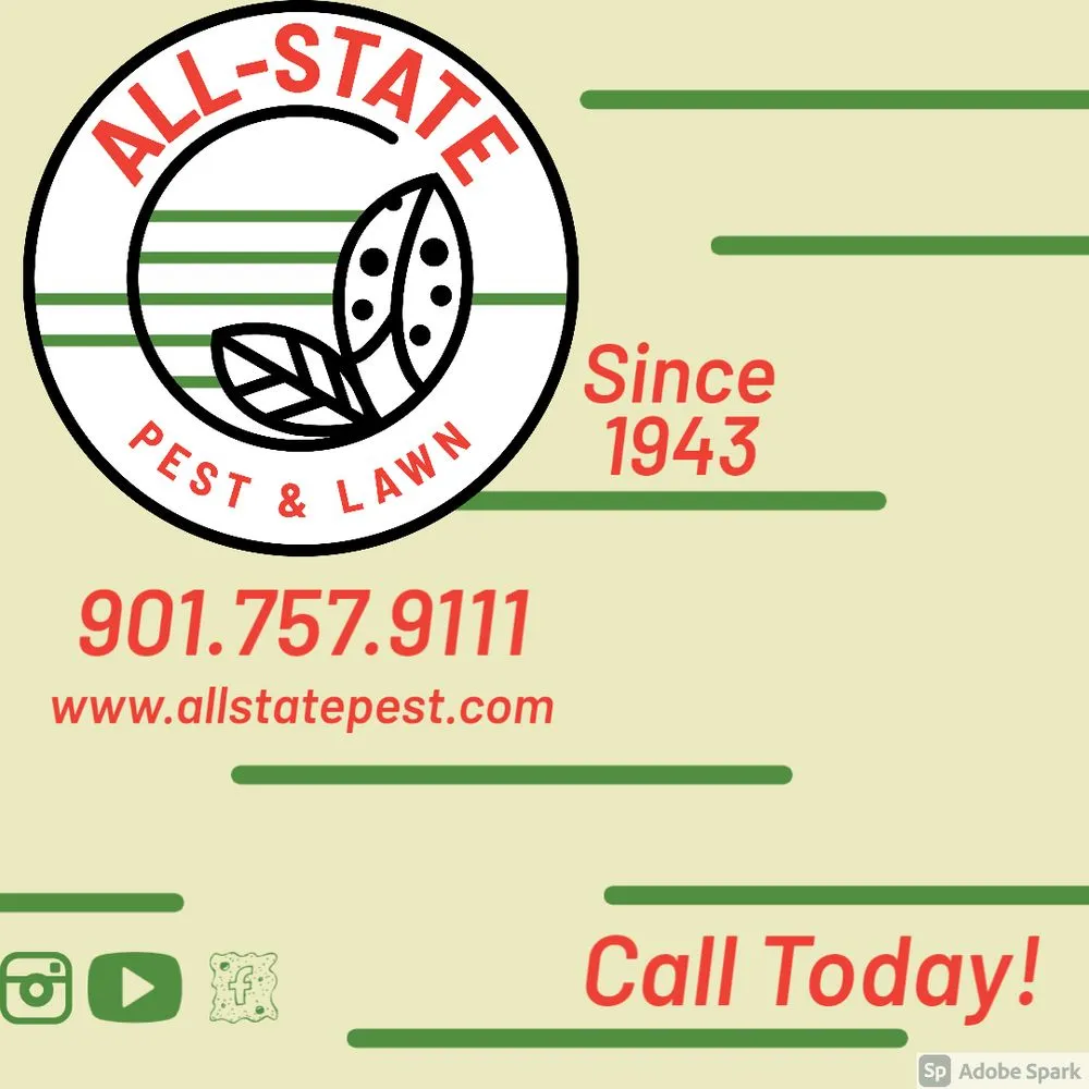 Trusted outdoor landscaping in Cordova, TN - All-State Pest & Lawn