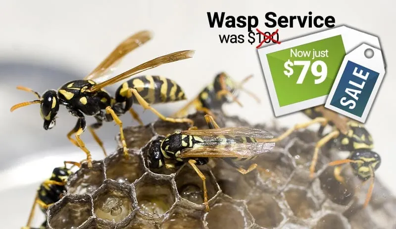 Local landscaping services experts serving Draper, UT - All States Lawn & Pest