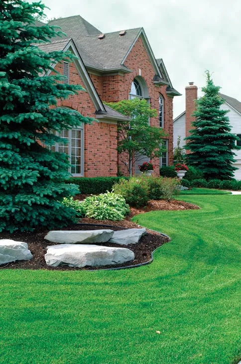 Custom yard maintenance in Draper, UT - All States Lawn & Pest