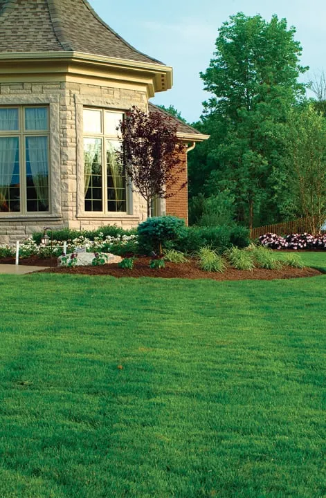 Custom residential landscaping in Draper, UT - All States Lawn & Pest