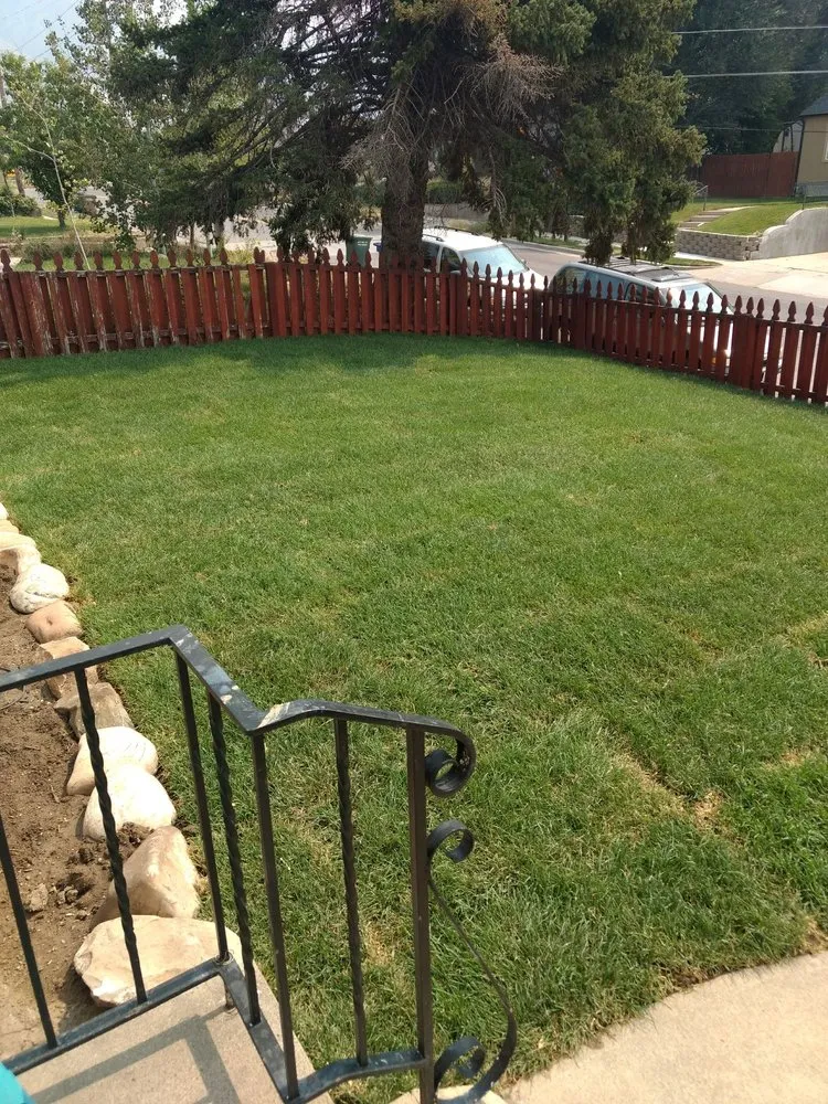 Custom yard maintenance near you across Draper, UT - All States Lawn & Pest