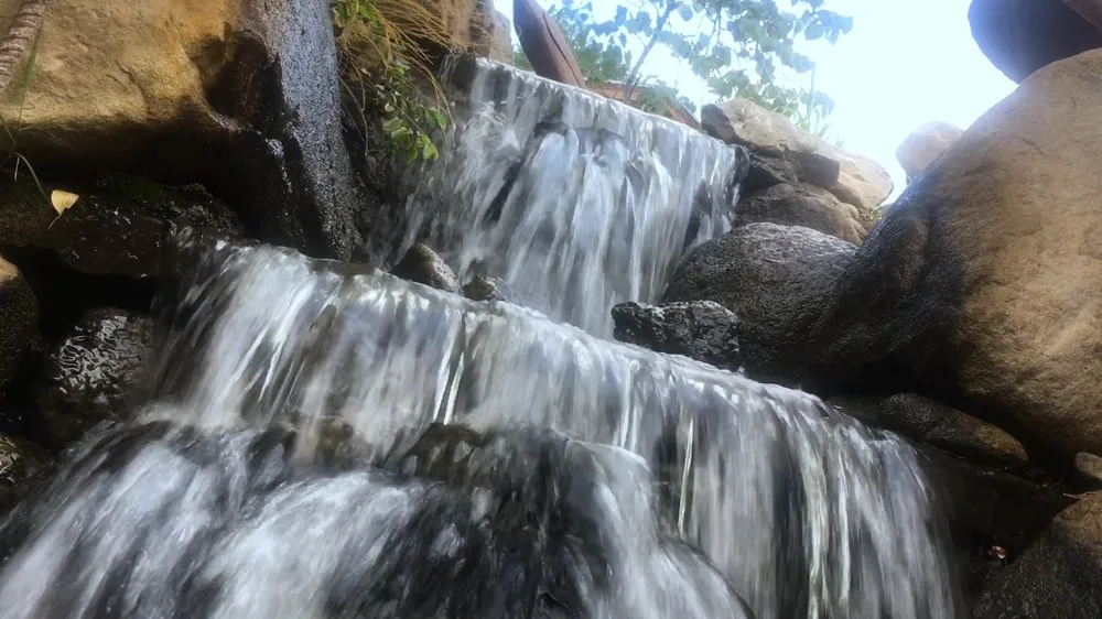 Professional landscaping services in Draper, UT by All States Lawn & Pest