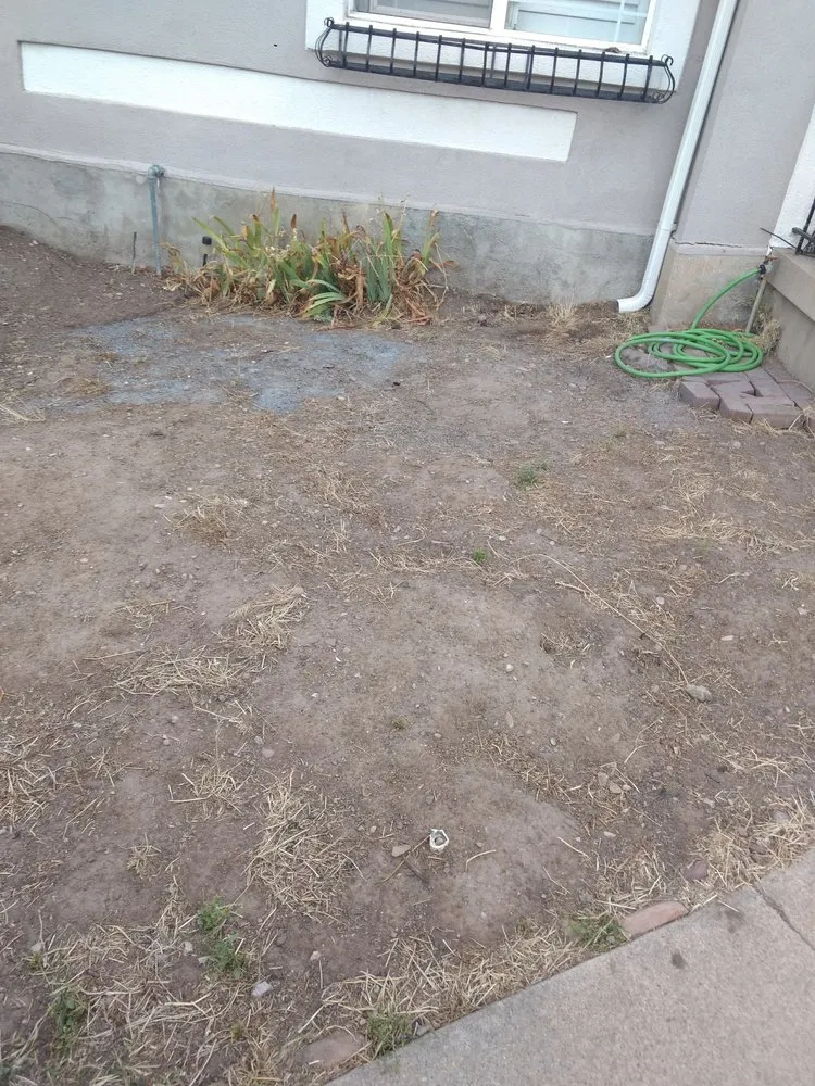 Reliable yard cleanup service in Draper, UT - All States Lawn & Pest