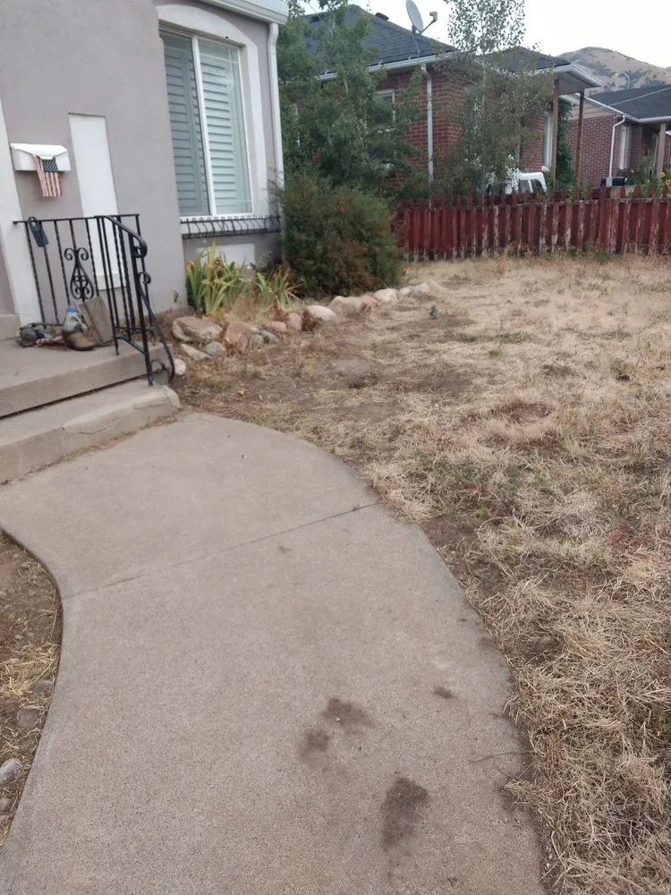 Reliable landscape design in Draper, UT by All States Lawn & Pest