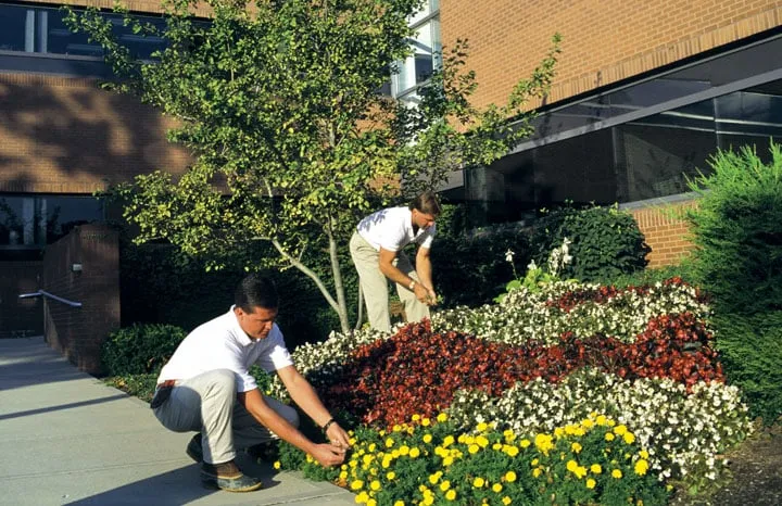 Professional yard cleanup service in Draper, UT - All States Lawn & Pest