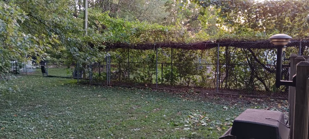 Reliable outdoor landscaping for year-round maintenance across Springfield, MO - All-States Property Maintenance