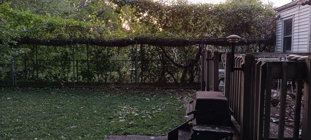 Local residential landscaping in Springfield, MO by All-States Property Maintenance