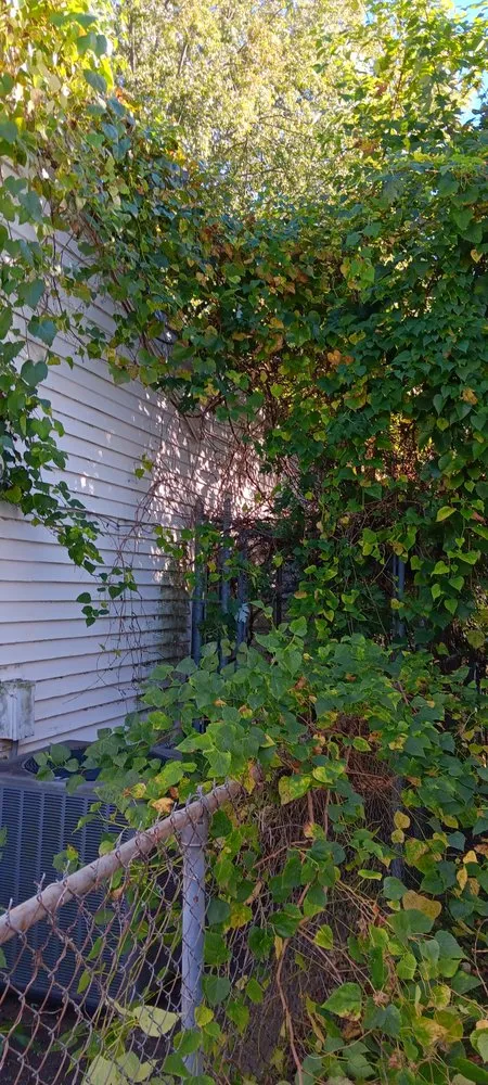 Top-rated lawn care service near you across Springfield, MO - All-States Property Maintenance