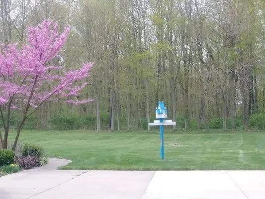 All Stripes Lawn Care