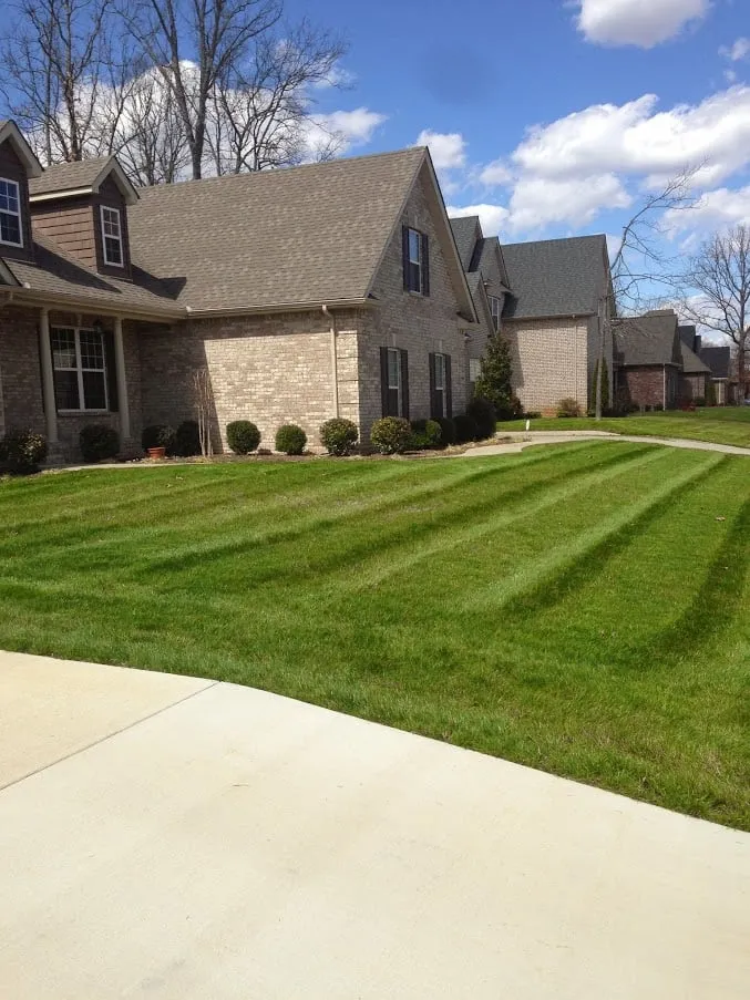 Local lawn care service for beautiful yards across Murfreesboro, TN - All Summer Landscaping & Lawn Care