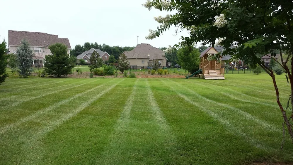 Custom lawn care service experts serving Murfreesboro, TN - All Summer Landscaping & Lawn Care