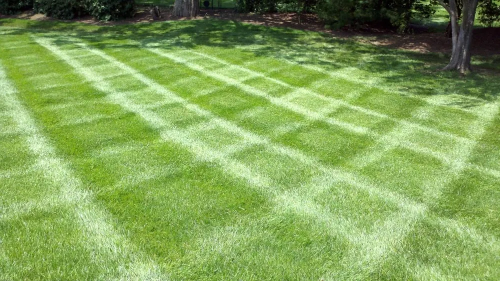 Top-rated landscaping services experts serving Murfreesboro, TN - All Summer Landscaping & Lawn Care