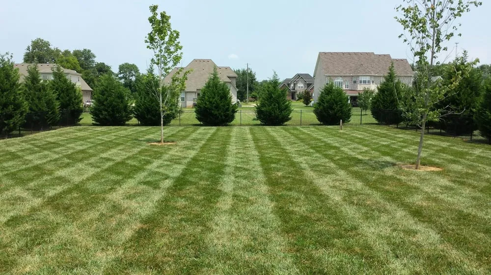 Local garden landscaping experts serving Murfreesboro, TN - All Summer Landscaping & Lawn Care
