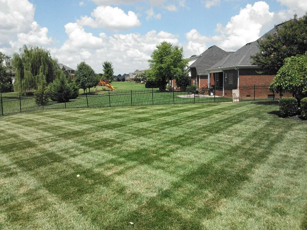 Trusted yard maintenance near you across Murfreesboro, TN - All Summer Landscaping & Lawn Care