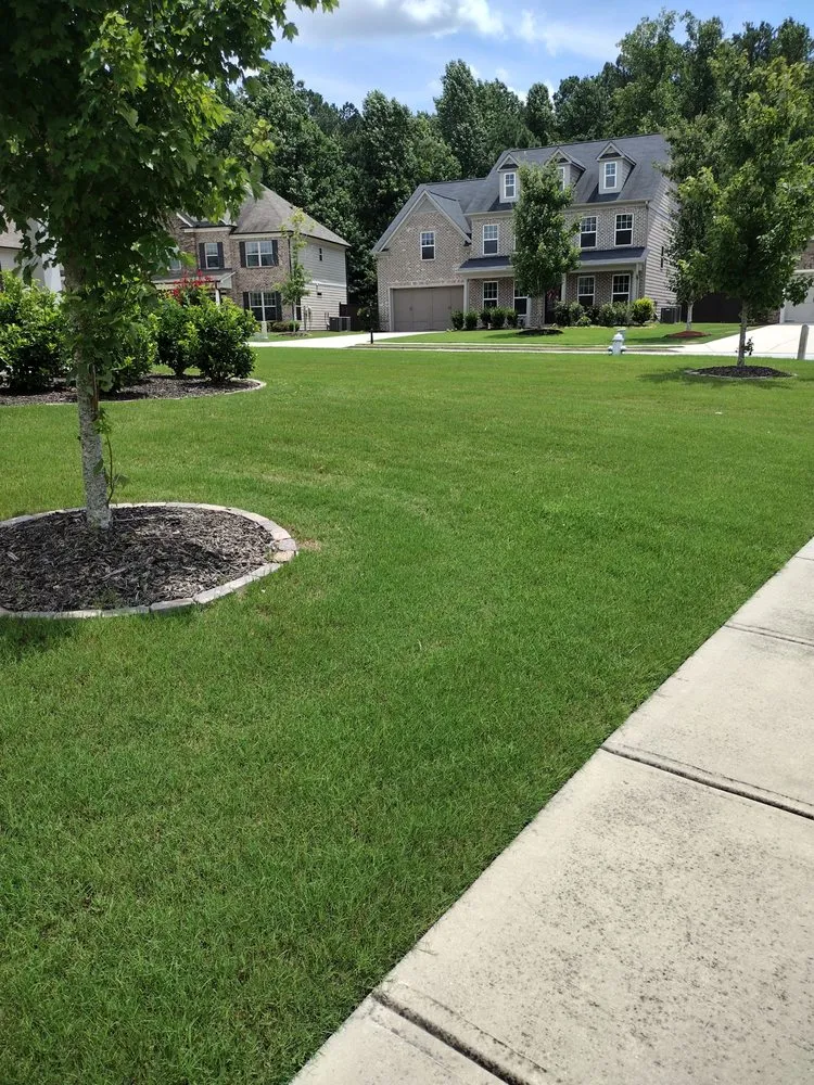 Top-rated landscape design in Lawrenceville, GA - All tasks men landscaping and more