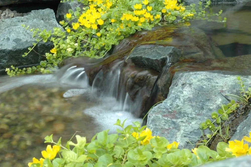 Professional outdoor landscaping with custom design in Lansing, MI by All Terra Landscape Services