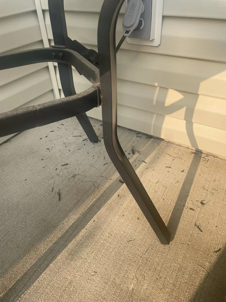 Affordable lawn care service in Avon, IN - All Terrain