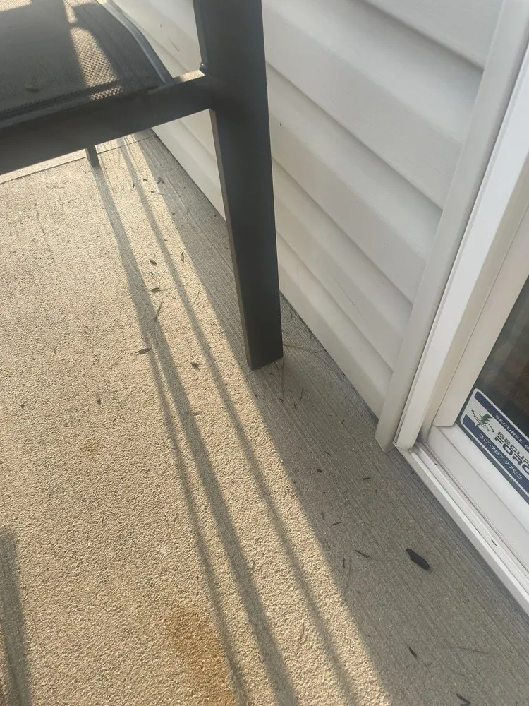 Top-rated outdoor landscaping for homes in Avon, IN by All Terrain