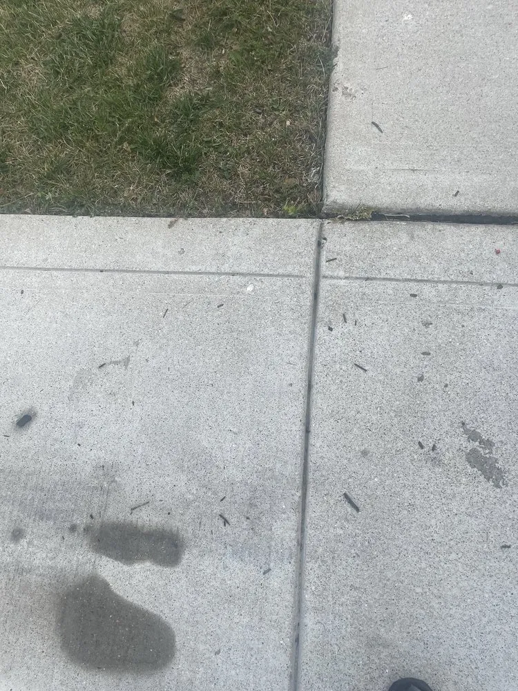 Reliable landscape design in Avon, IN - All Terrain