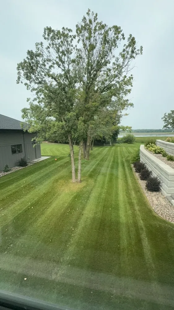 Trusted yard cleanup service in Saint Paul, MN by All Terrain Construction and Landscape