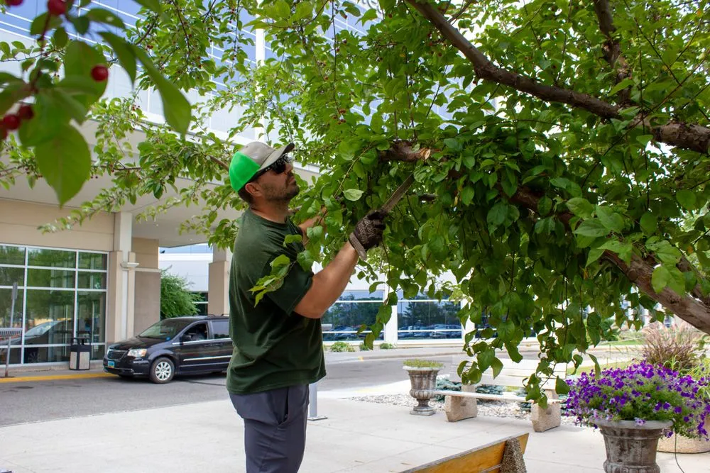 Expert landscaping services near you in Fargo, ND by All Terrain