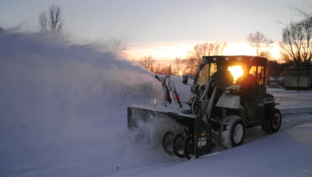 Local yard cleanup service experts serving Fargo, ND - All Terrain