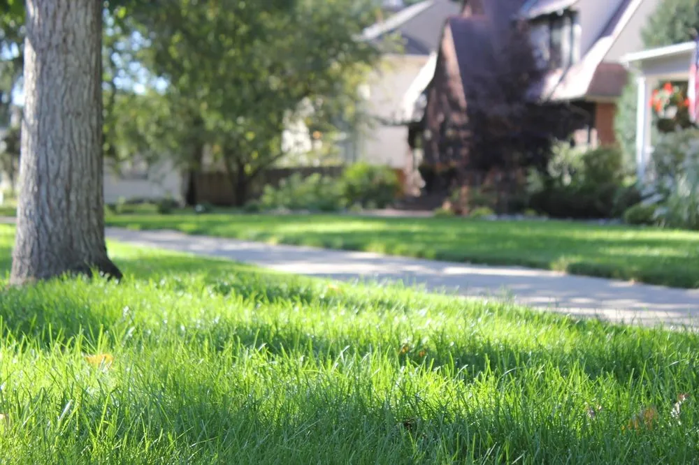 Trusted yard cleanup service in Fargo, ND by All Terrain