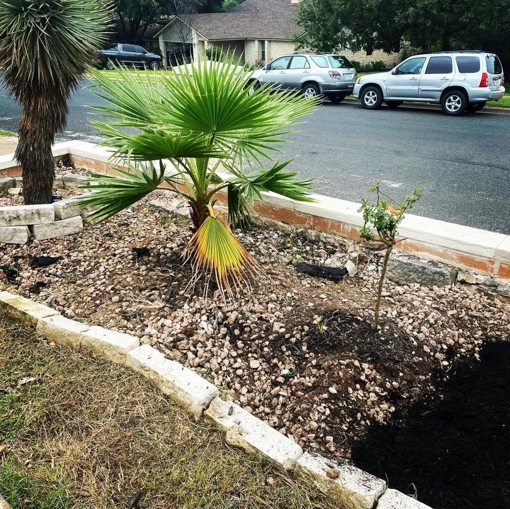 Expert lawn mowing service for outdoor upgrades in Cedar Park, TX by All Terrain Groundworks