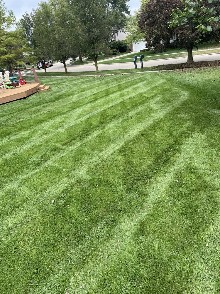Local yard maintenance for year-round maintenance across Ypsilanti, MI - All-Terrain Gurus 2
