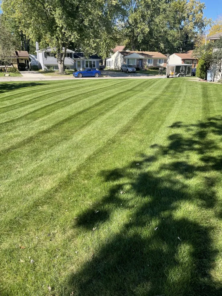 Affordable yard cleanup service in Ypsilanti, MI by All-Terrain Gurus 2