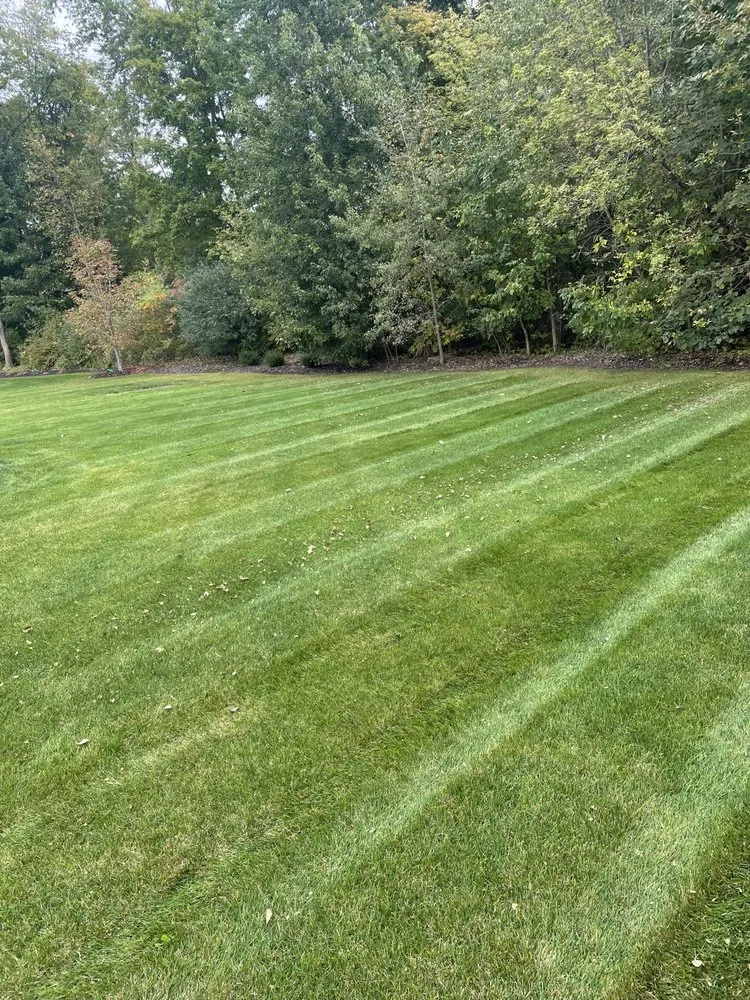 Expert residential landscaping in Ypsilanti, MI - All-Terrain Gurus 2